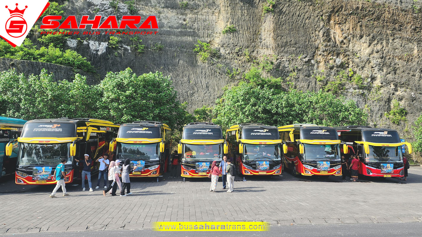bus sahara