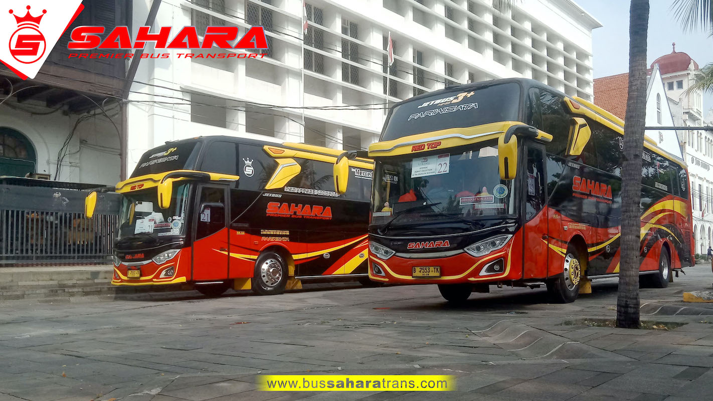 bus sahara