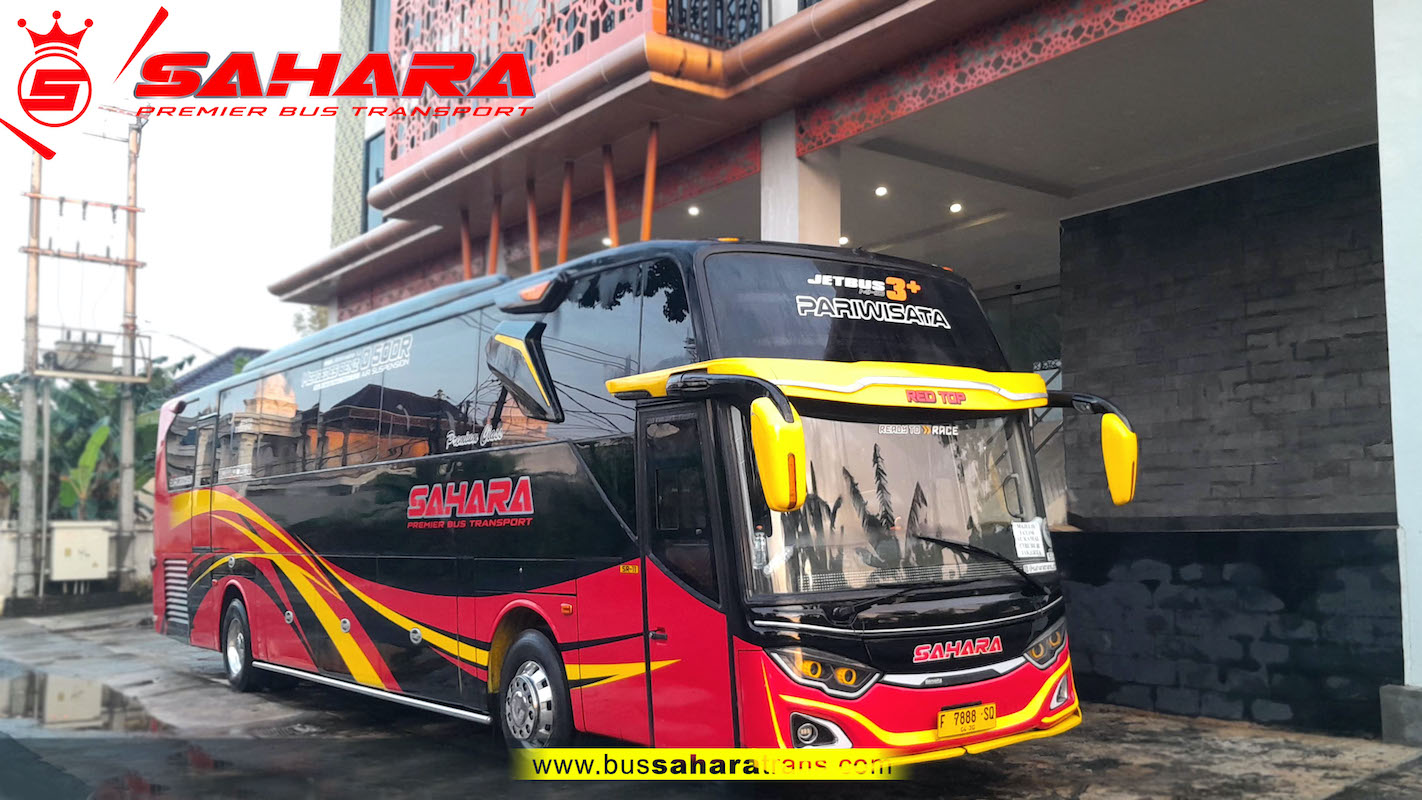 bus sahara