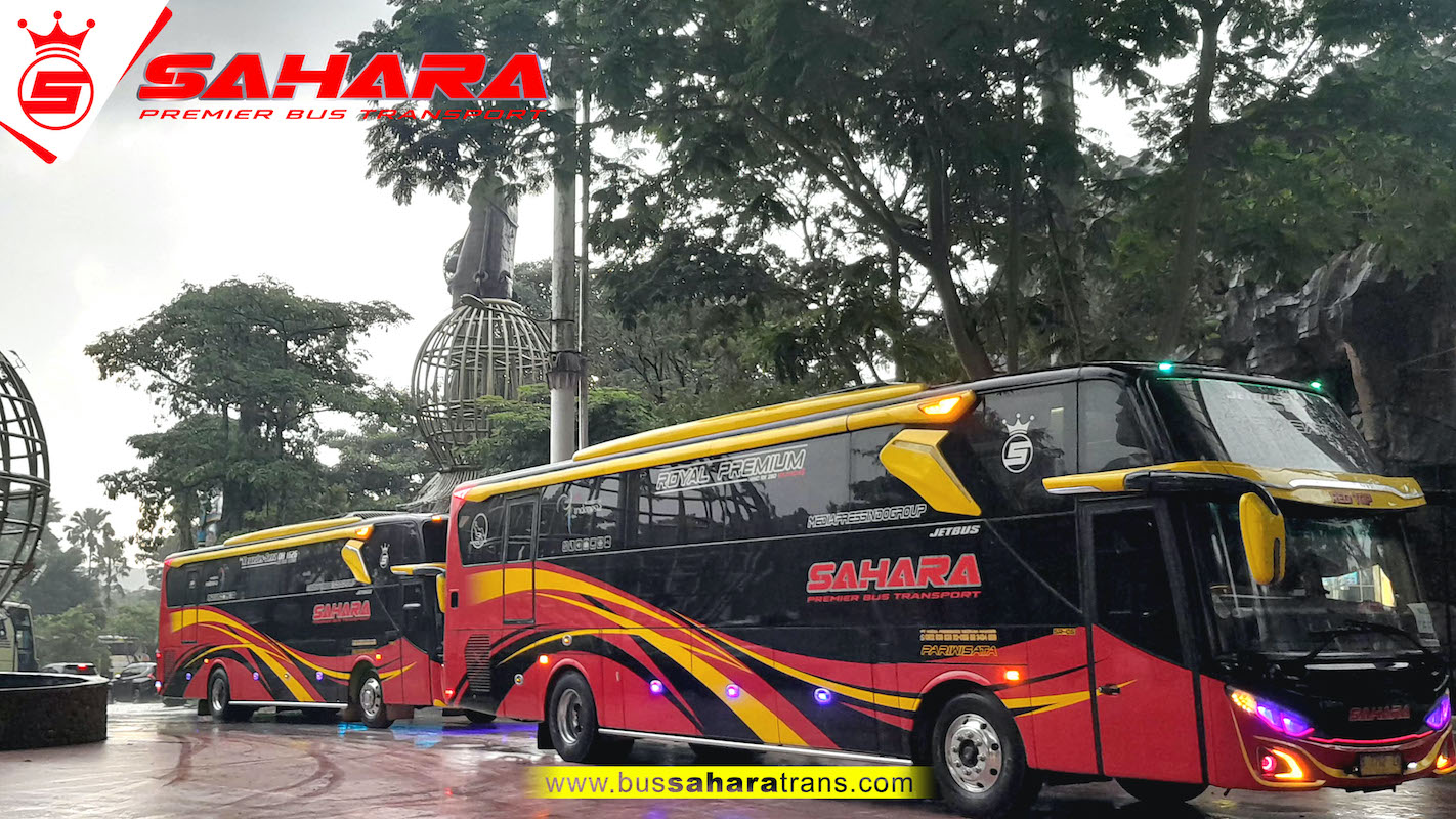 bus sahara
