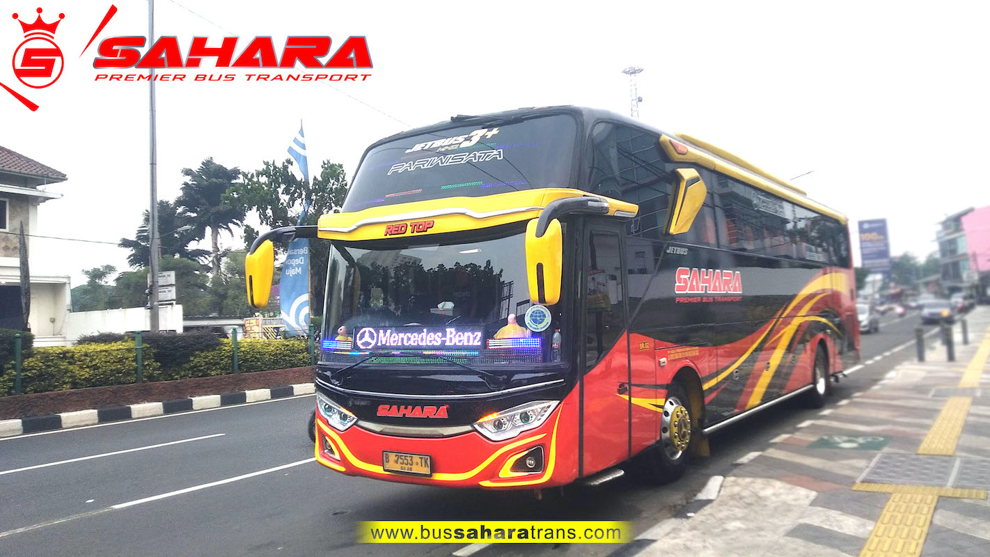 bus sahara