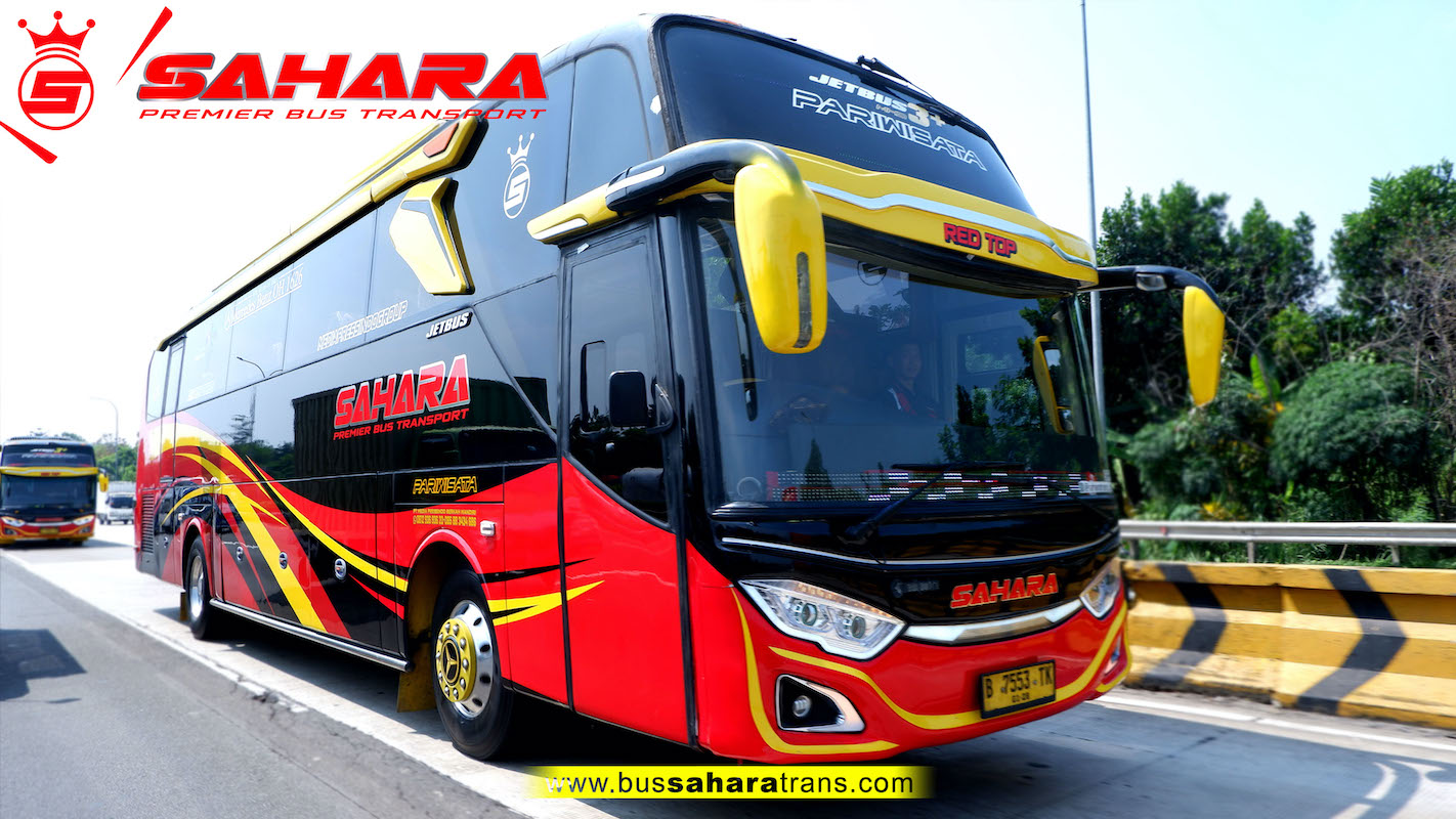 bus sahara