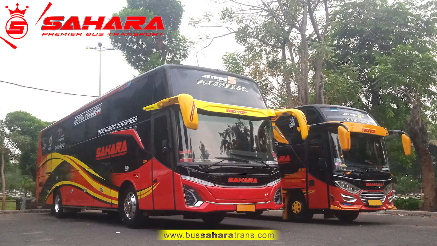 bus sahara