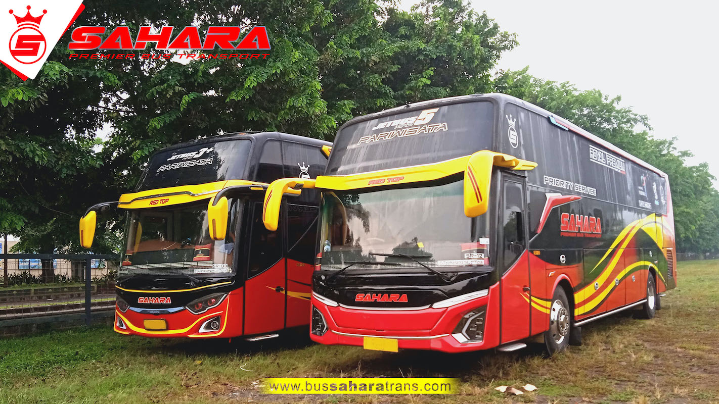 bus sahara