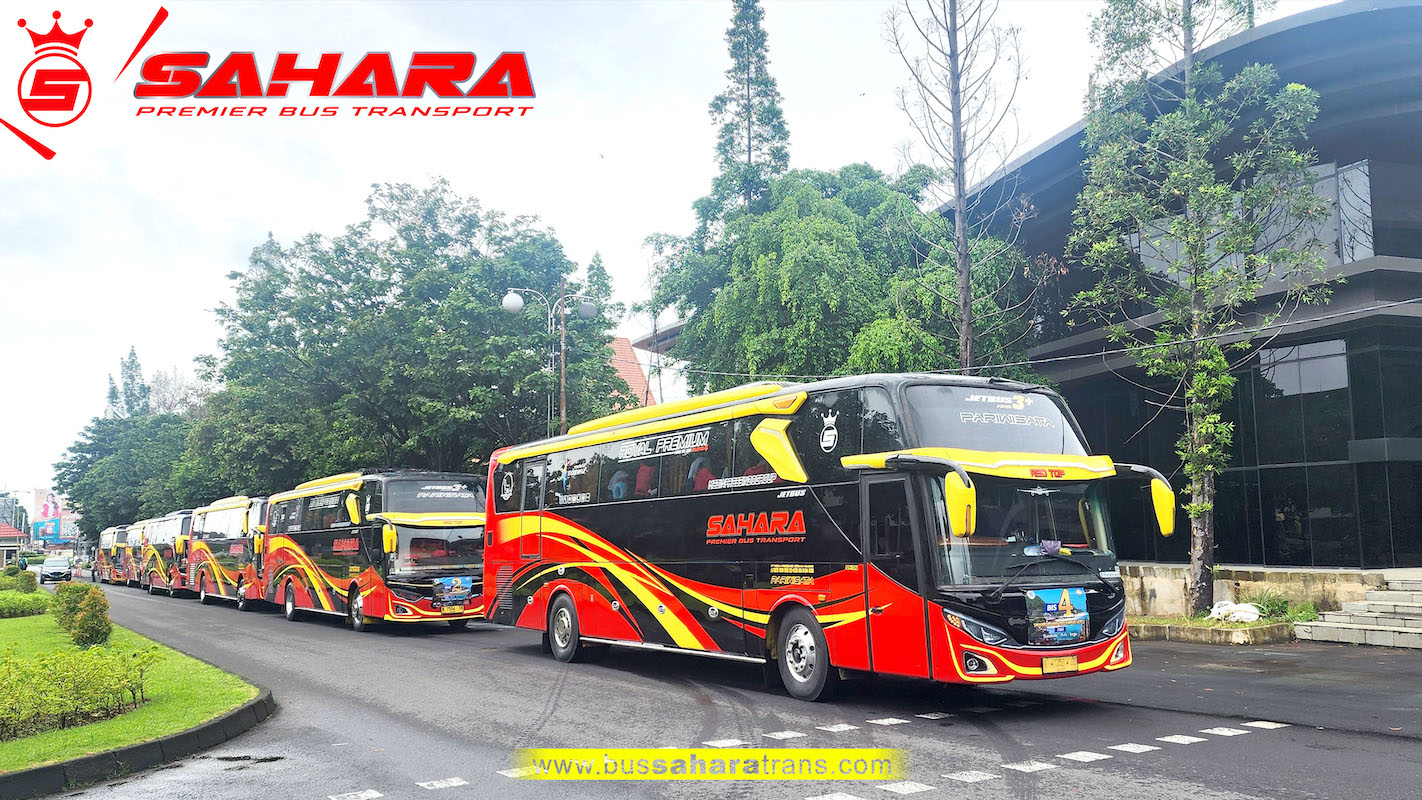bus sahara