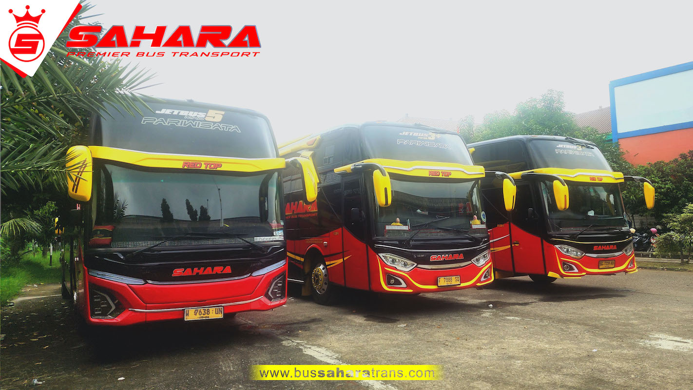 bus sahara