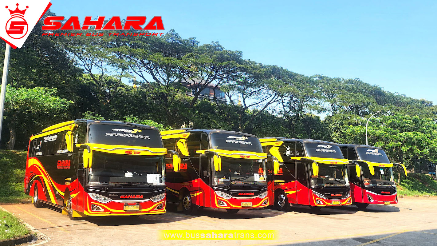 bus sahara