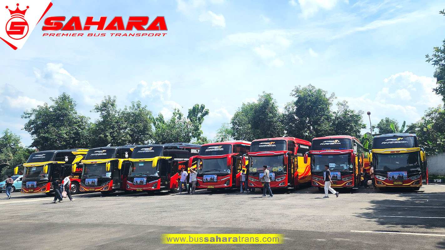 bus sahara