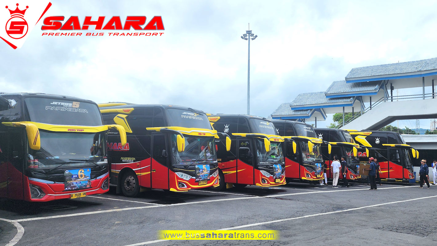 bus sahara