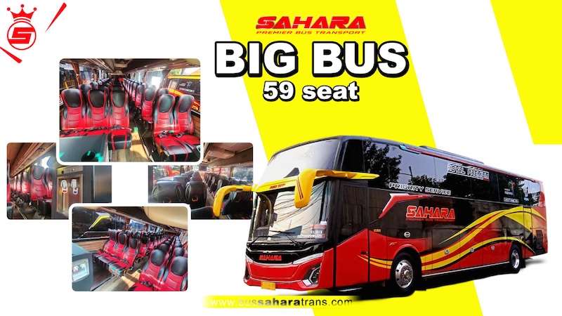 bus sahara