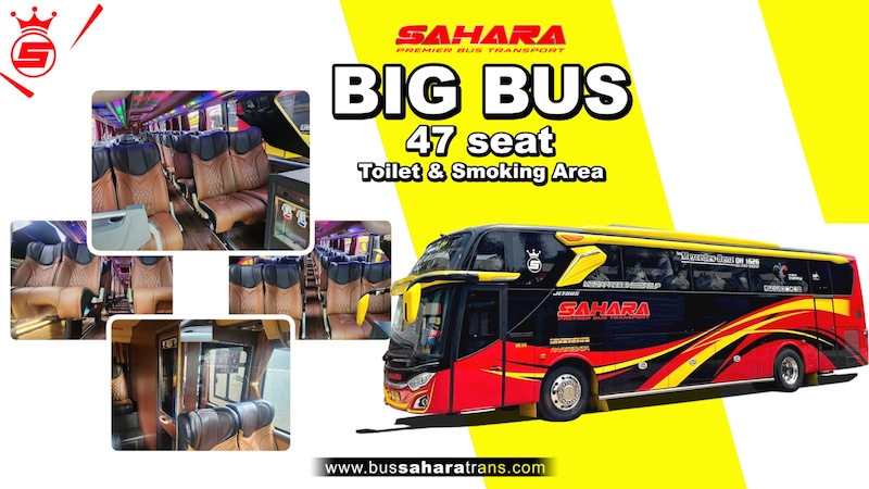 bus sahara