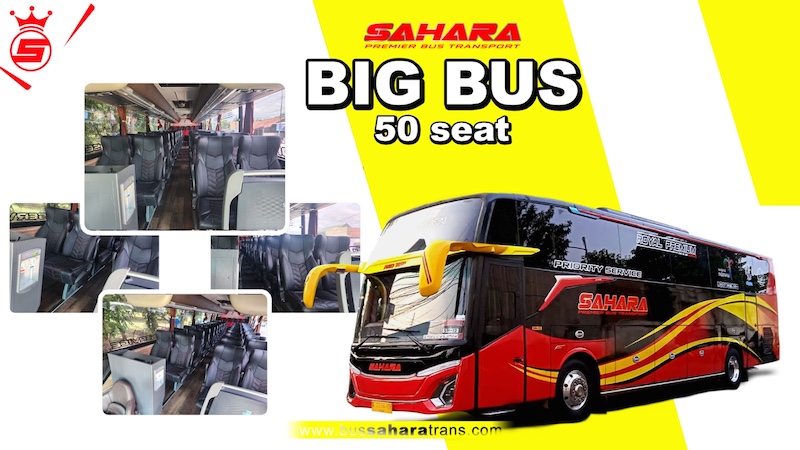 bus sahara